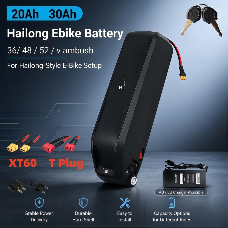 Versatile Hailong Battery, Mul - огляд і ціна Ebike Battery 48V 20Ah Hailong