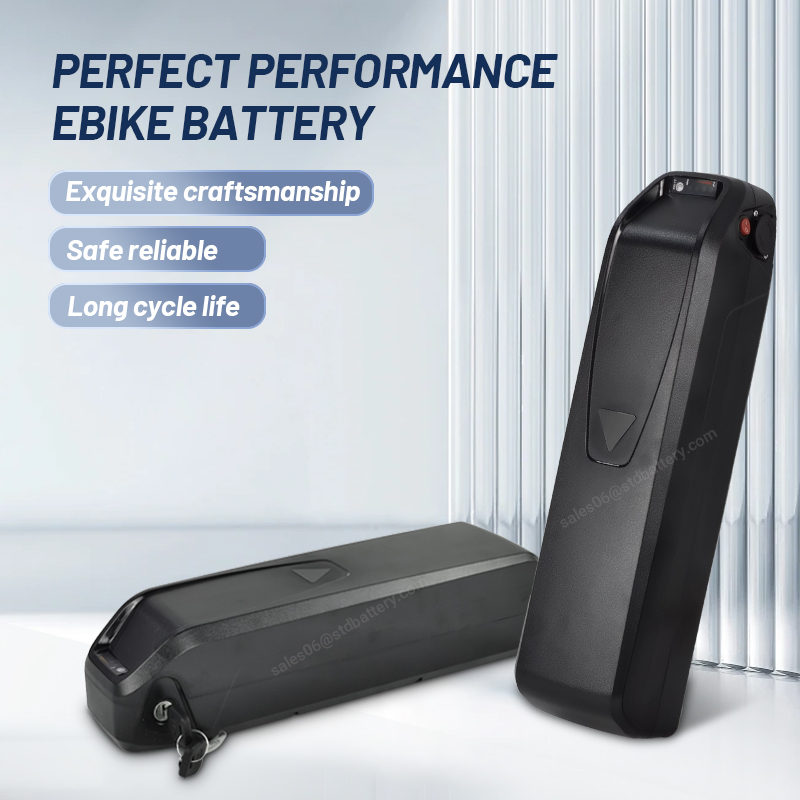 ALX Hailong ebike battery 36v  - огляд і ціна Ebike Battery 48V 20Ah Hailong