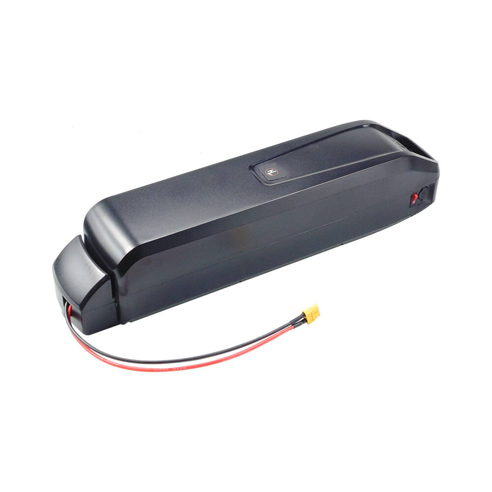 New S20 Pro 48V 13Ah 20Ah Hail - огляд і ціна Ebike Battery 48V 20Ah Hailong